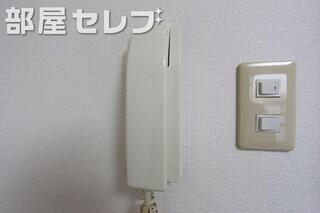 写真は他号室です
