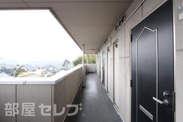 平成29年1月20日撮影