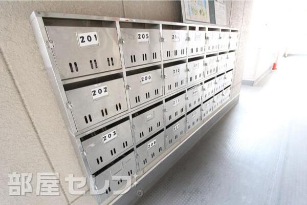 平成29年1月20日撮影