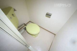 脱衣所からトイレに入れます。