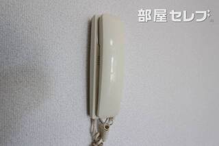 3B号室の写真です