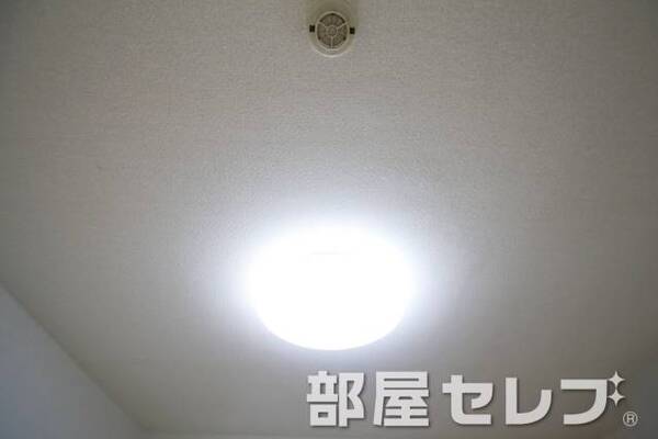 照明。