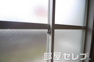 網ガラス。