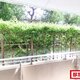 部屋画像12