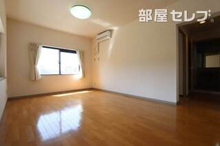 写真は反転タイプです。