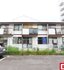 タウニィ市場木
