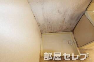 室内洗濯機置き場です。
