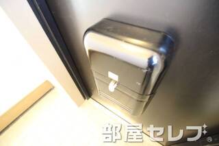 玄関ポスト。他号室の写真です。