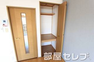 奥行きのある収納。他号室の写真です。