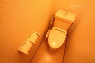 温水洗浄便座のトイレですよ。