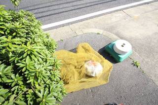 ゴミ捨て場も近くにあります。