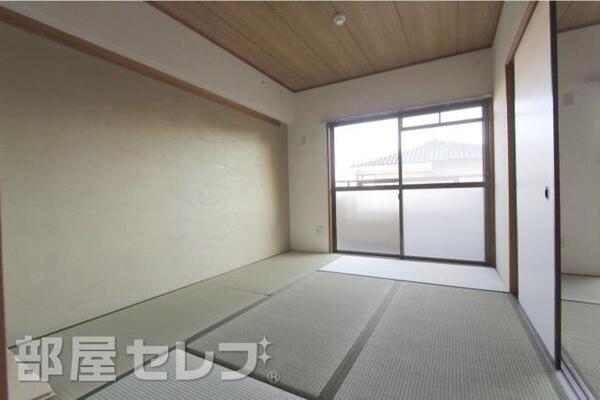 平成29年2月17日撮影