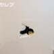 部屋画像30