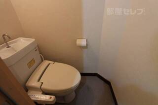 写真は反転タイプです