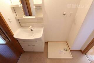 洗髪洗面化粧台と洗濯パンです。