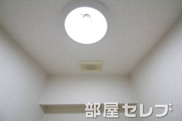 ダウンライト。