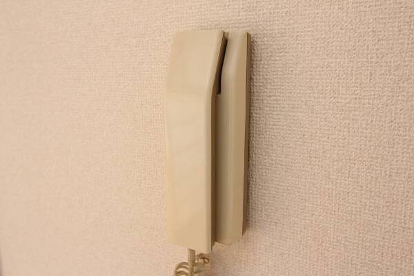 インターフォンで来客時にその場で確認ができます。