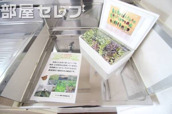 管理会社からハーブサラダプレゼント。