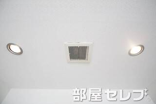 ダウンライト。