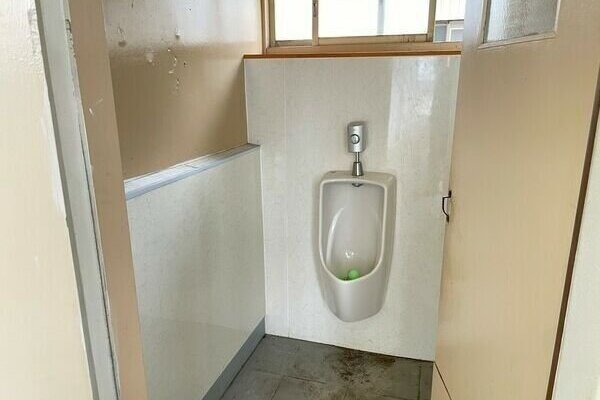 共用です