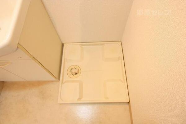 室内洗濯機置き場です。