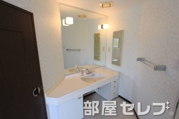 大きい洗面所ですよ。鏡大きい。
