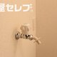 部屋画像19