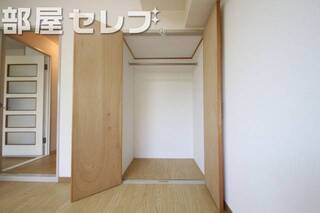 奥行きのある収納。他号室の写真です。