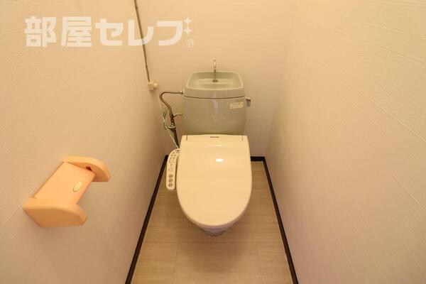 2020年2月6日　撮影