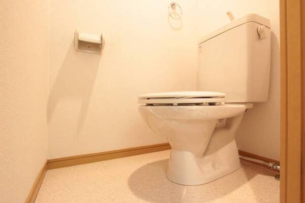 トイレも安心して使える清潔さがございます