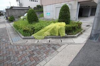 ゴミはここに捨ててね。