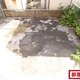部屋画像11