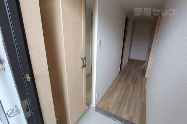 同型タイプ